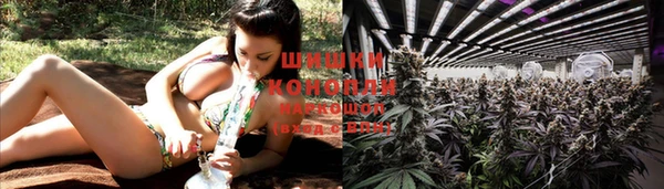 гидропоника Надым