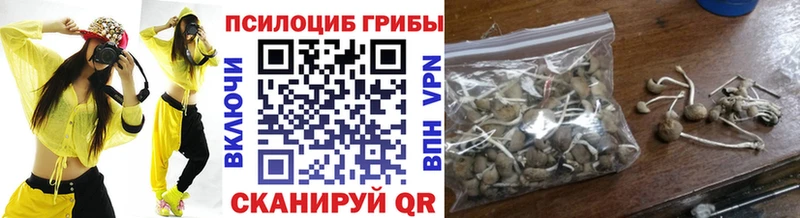 Псилоцибиновые грибы MAGIC MUSHROOMS  хочу   Юрюзань 